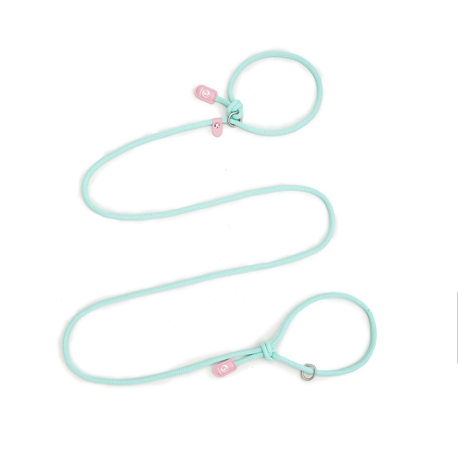 Collars, leads & harnesses