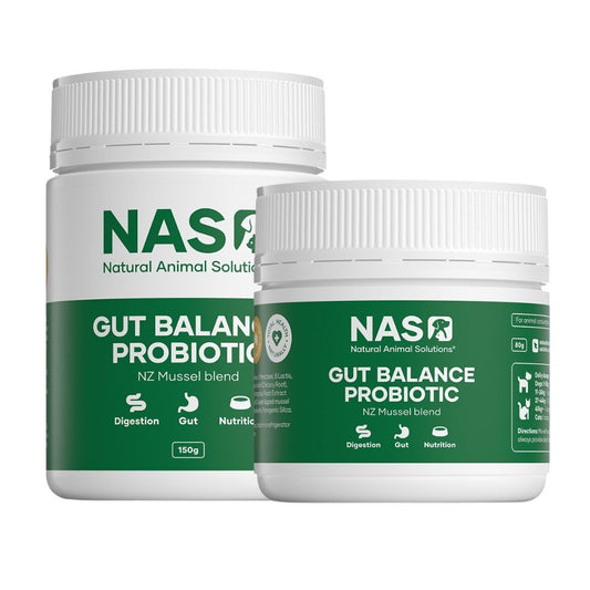 Natural Animal Solutions Gut Balance ProBiotic for Cats & Dogs - NZ Mussel