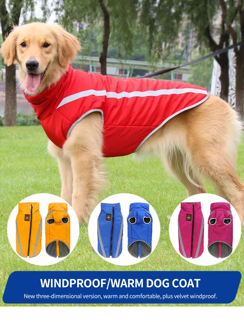 Blue Reflective Winter Dog Jacket - Warm & Waterproof Outdoor Coat - 4XL